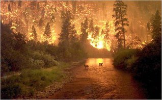 Fires of a False Allah