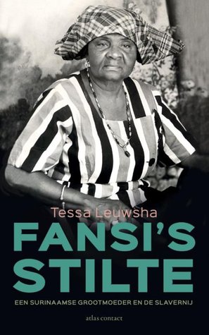 Fansi's stilte: een Surinaamse grootmoeder en de slavernij (Paperback)