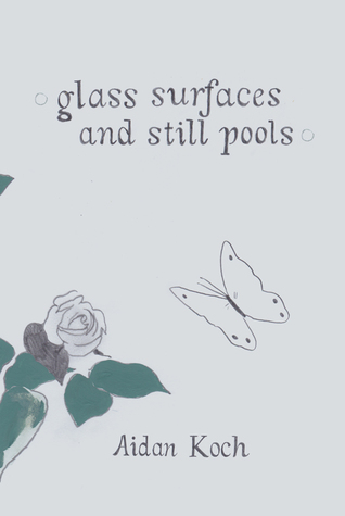 Glass Surfaces and Still Pools (Unknown Binding)