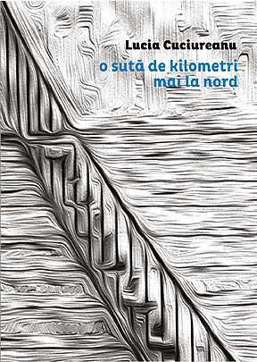 O sută de kilometri mai la nord (ebook)