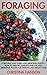 Foraging: Foraging Wild Edi...