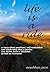 Life is a Ride: A story about positives , self motivation and leadership a person can derive from a situation as bad as recession
