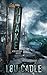 Quake: A Natural Disaster T...