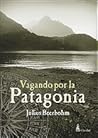 Vagando por la Patagonia