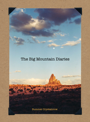 The Big Mountain Diaries