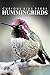 Hummingbirds - Curious Kids Press: Kids book about animals and wildlife, Children's books 4-6