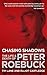 Chasing Shadows by Elliott Cartledge