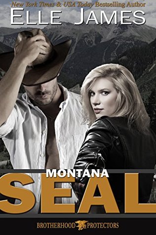 Montana SEAL (Brotherhood Protectors, #1)