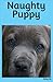 Naughty Puppy