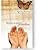 Manual de oración positiva/Handbook of Positive Prayer by Hypatia Hasbrouck