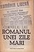 Romanul Unei Zile Mari