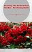 Creating The Perfect Rose G...