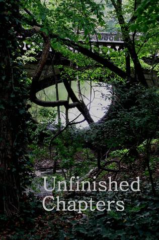 Unfinished Chapters