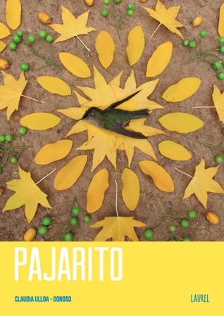 Pajarito (Paperback)