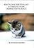 How to Care for Your Cat: The Complete Guide from Kitten to Adult: A guide to caring for your cat including food, nutrition, behaviour, habits, training and vaccinations