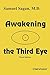 Awakening the Third Eye by Samuel Sagan