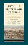 Divining Slavery and Freedom: The Story of Domingos Sodré, an African Priest in Nineteenth-Century Brazil (New Approaches to the Americas)