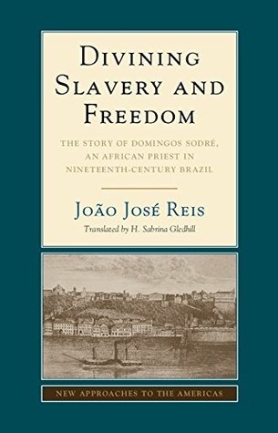 Divining Slavery and Freedom: The Story of Domingos Sodré, an African Priest in Nineteenth-Century Brazil (New Approaches to the Americas)