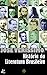 História da Literatura Brasileira: Do Período Colonial a Machado de Assis (Edição Definitiva) (Portuguese Edition)