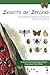 Insects of Ireland: An illu...