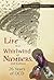 Life in a Whirlwind of Numb...