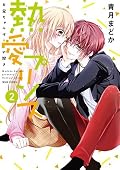 熱愛プリンス お兄ちゃんはキミが好き [Netsuai Prince: Onii-chan wa