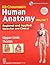 BD Chaurasia's Human Anatomy by B.D. Chaurasia
