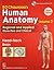 Human Anatomy 6E Vol 3 Head Neck Brain by B.D. Chaurasia