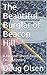 The Beautiful Burglar of Beacon Hill (Nelson Mysteries #7)