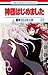 神様はじめました 22 [Kamisama Hajimemashita 22]