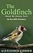 Summary - The Goldfinch: No...