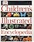 Children's Illustrated Encyclopedia 2000 by Jayne Parsons