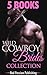 Wild Cowboy Brides by Red Passion Publishing