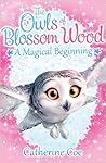 A Magical Beginning (The Owls of Blossom Wood, #1)