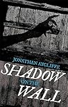 Shadow On The Wall