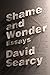 Shame and Wonder: Essays