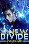 New Divide