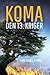 Den 13. Kriger by Micheal Ford