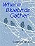 Where Bluebirds Gather
