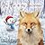 The Fox & the Snowman