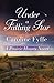 Under a Falling Star (Prairie Hearts, #4)