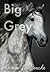 Big Grey