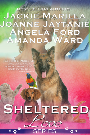 Sheltered Love Series
