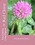 Red Clover - Trifolium pratense: Trifolium Pratense (Natural Herbal Living Magazine Book 14)
