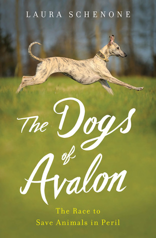 The Dogs of Avalon: The Race to Save Animals in Peril (Hardcover)