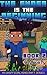 Minecraft by Nether Boy