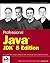 Professional Java