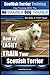 Scottish Terrier Training | Dog Training with the No BRAINER Dog TRAINER ~ We Make it THAT Easy!: How to EASILY TRAIN Your Scottish Terrier