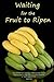 Waiting for the Fruit to Ri...