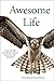 Awesome Life: Create The Life You Always Wanted and Soar With Purpose
